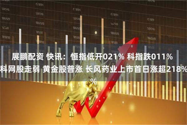 展鵬配资 快讯：恒指低开021% 科指跌011% 科网股走弱 黄金股普涨 长风药业上市首日涨超218%