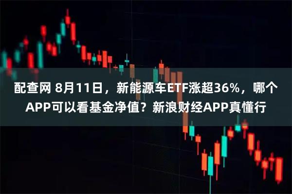 配查网 8月11日，新能源车ETF涨超36%，哪个APP可以看基金净值？新浪财经APP真懂行