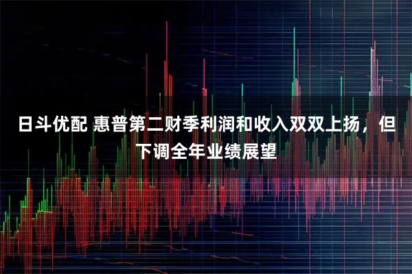 日斗优配 惠普第二财季利润和收入双双上扬，但下调全年业绩展望